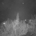 Webcam_20200402-213000