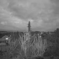 Webcam_20200403-193000
