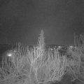 Webcam_20200404-203000
