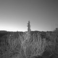 Webcam_20200405-050000