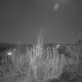 Webcam_20200405-200000