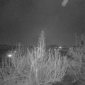 Webcam_20200405-203000