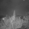 Webcam_20200405-210000