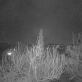 Webcam_20200405-213000