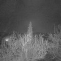 Webcam_20200405-220000