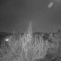 Webcam_20200406-213000