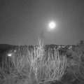 Webcam_20200407-203000