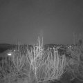 Webcam_20200408-200000