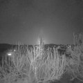 Webcam_20200408-203000