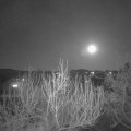 Webcam_20200408-213000