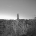 Webcam_20200410-050000
