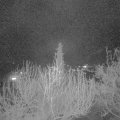 Webcam_20200410-210000