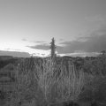 Webcam_20200412-050000
