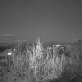 Webcam_20200412-200000