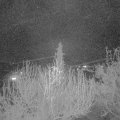Webcam_20200412-210000