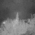 Webcam_20200412-220000