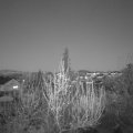 Webcam_20200413-210000