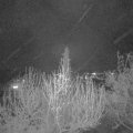 Webcam_20200413-213000