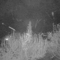 Webcam_20200413-220000