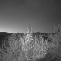Webcam_20200414-053000