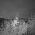 Webcam_20200415-053000
