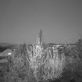 Webcam_20200416-210000