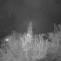 Webcam_20200416-213000