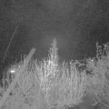 Webcam_20200416-220000