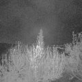 Webcam_20200417-050000
