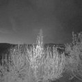 Webcam_20200417-051500