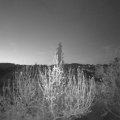 Webcam_20200417-053000