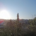 Webcam_20200417-074500