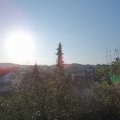 Webcam_20200417-080000