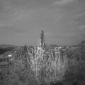 Webcam_20200417-210000
