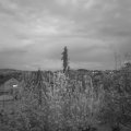 Webcam_20200418-204500