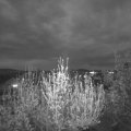 Webcam_20200418-210000