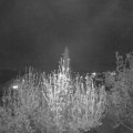 Webcam_20200418-211500