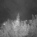 Webcam_20200418-213000