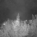 Webcam_20200418-220000