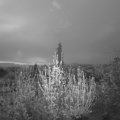 Webcam_20200419-054500