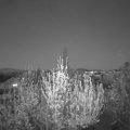 Webcam_20200419-211500
