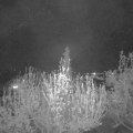 Webcam_20200419-214500