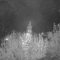 Webcam_20200419-220000