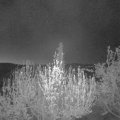Webcam_20200420-050000