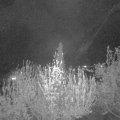 Webcam_20200420-220000