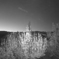 Webcam_20200421-051500