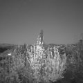 Webcam_20200421-211500