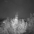 Webcam_20200421-213000