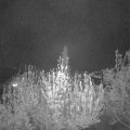 Webcam_20200421-214500