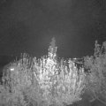 Webcam_20200422-214500